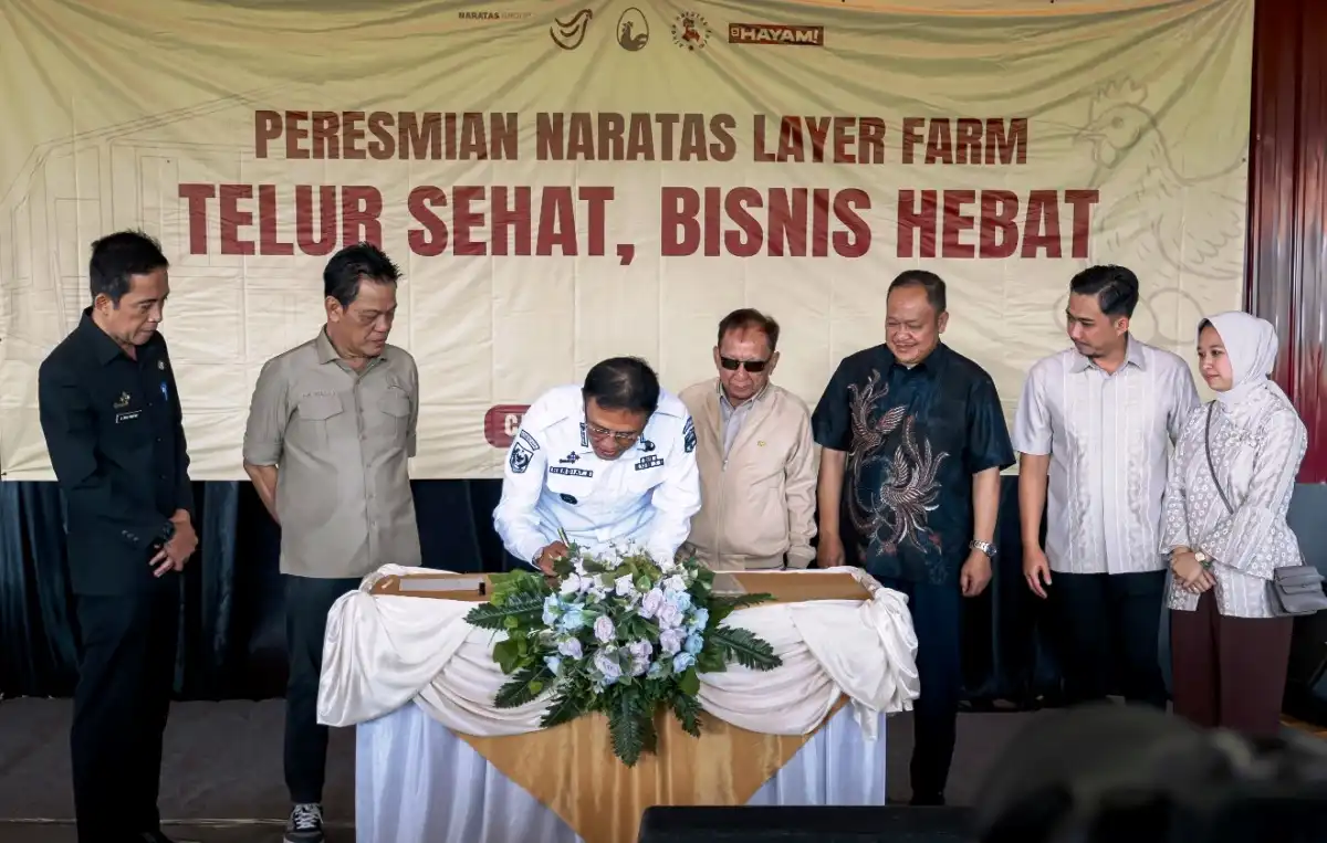 Ciamis Mantapkan Posisi sebagai Lumbung Ayam Nasional Lewat Investasi Baru
